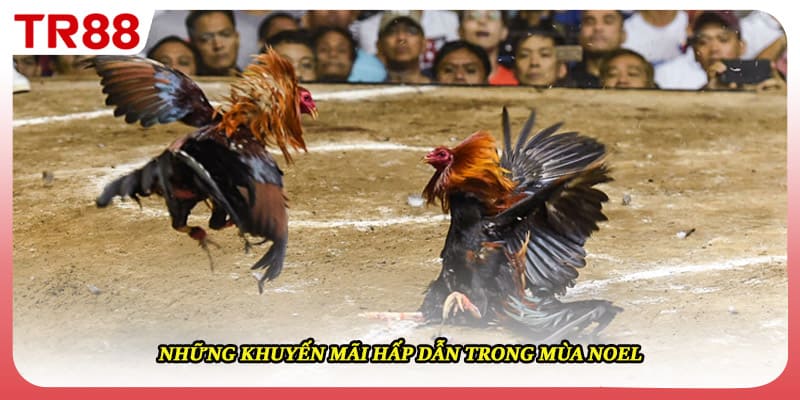 Những khuyến mãi hấp dẫn trong mùa noel