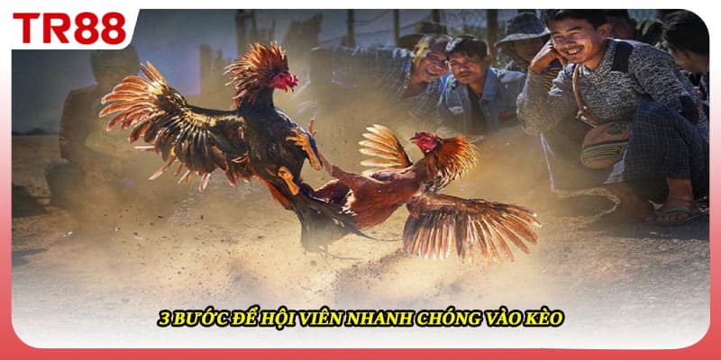 3 bước để hội viên nhanh chóng vào kèo