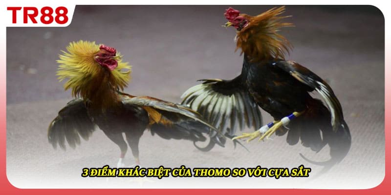 3 điểm khác biệt của thomo so với cựa sắt