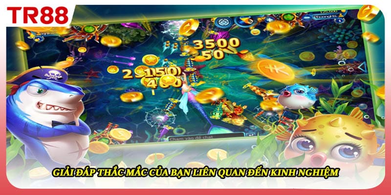 Giải đáp thắc mắc của bạn liên quan đến kinh nghiệm