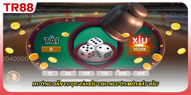 Hướng dẫn cược tài xỉu cho người mới bắt đầu