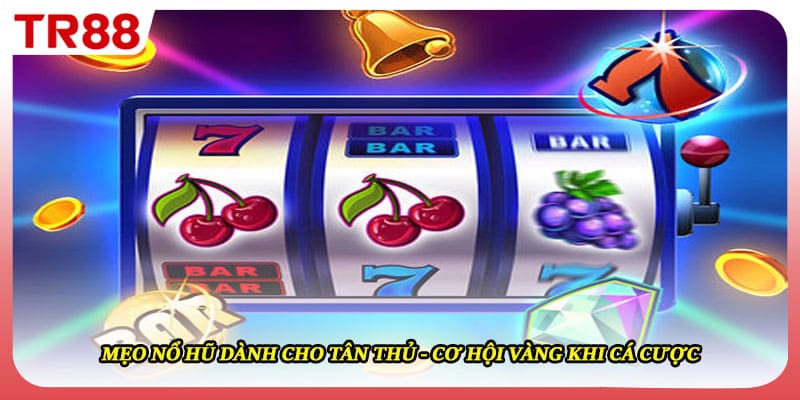 Mẹo Nổ Hũ Dành Cho Tân Thủ - Cơ Hội Vàng Khi Cá Cược