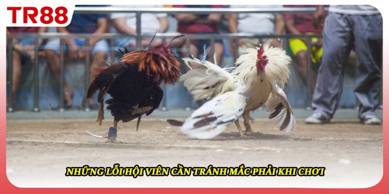 Những lỗi hội viên cần tránh mắc phải khi chơi