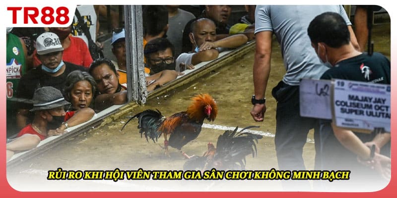 Rủi ro khi hội viên tham gia sân chơi không minh bạch